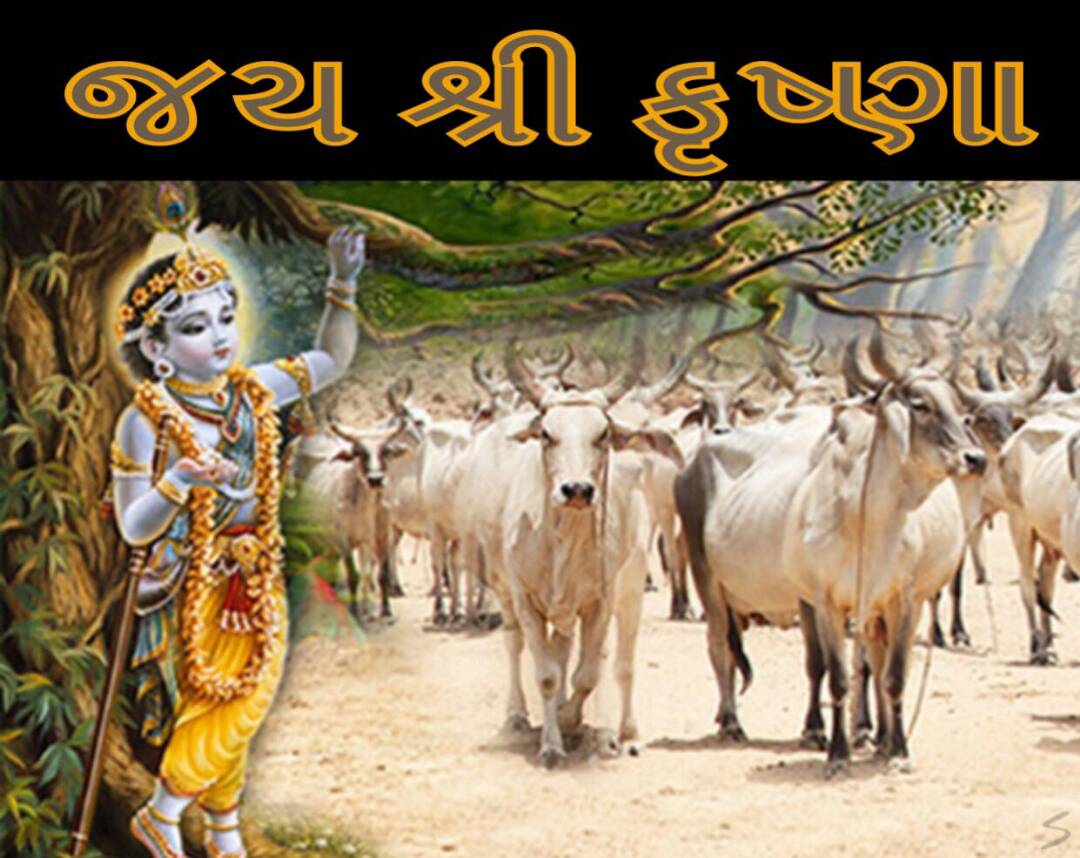 Gujarati-Good-Morning-image-14.jpg