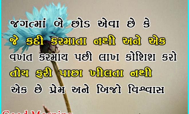 Motivational-Gujarati-Suvichar-30.jpg