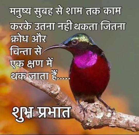Suprabhat-Hindi-good-morning-wishes-pictures-11.jpg