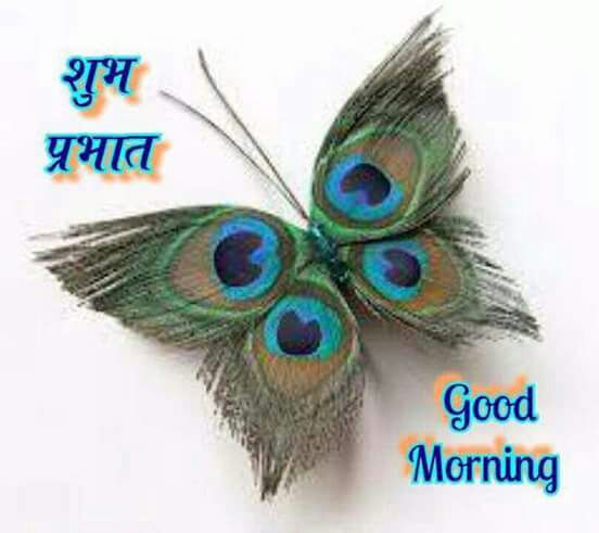 whatsapp-good-morning-hindi-13.jpg
