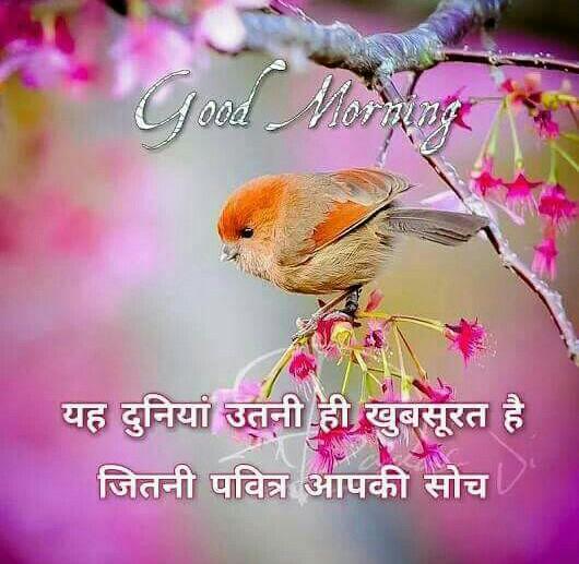 wishes-good-morning-in-hindi-3.jpg